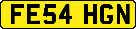 FE54HGN