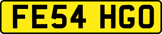 FE54HGO