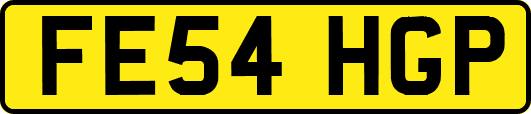 FE54HGP