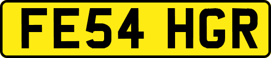 FE54HGR