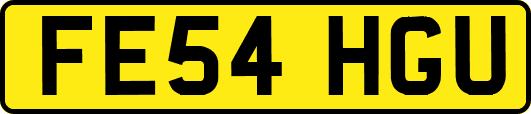 FE54HGU