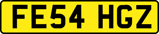 FE54HGZ