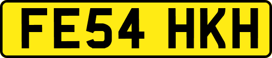 FE54HKH