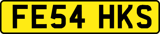 FE54HKS
