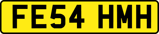 FE54HMH