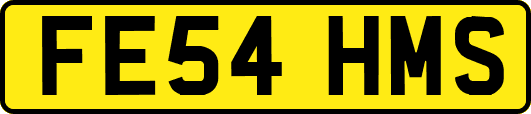 FE54HMS
