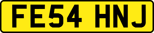 FE54HNJ