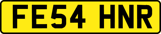FE54HNR