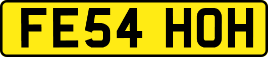 FE54HOH