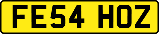 FE54HOZ