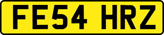 FE54HRZ