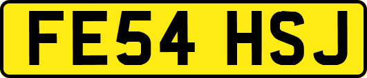 FE54HSJ