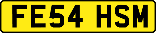 FE54HSM