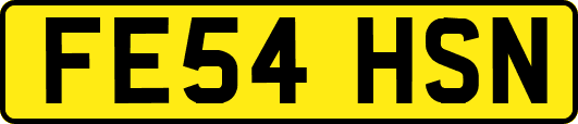 FE54HSN