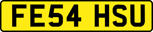 FE54HSU