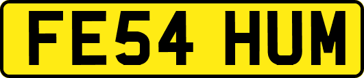 FE54HUM
