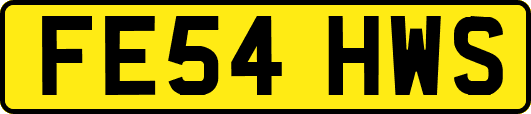 FE54HWS