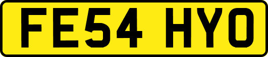 FE54HYO