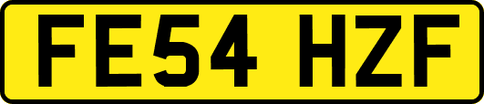 FE54HZF