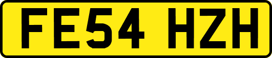 FE54HZH