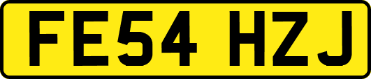 FE54HZJ