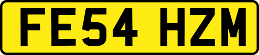 FE54HZM