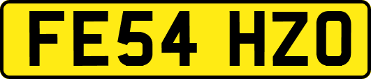 FE54HZO