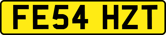 FE54HZT