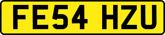 FE54HZU