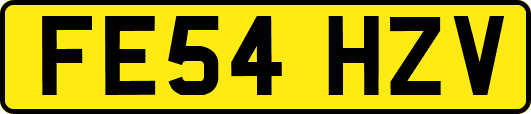 FE54HZV