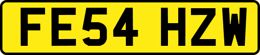 FE54HZW