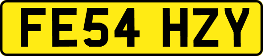 FE54HZY