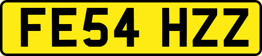 FE54HZZ