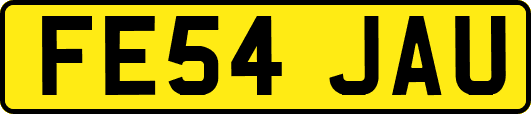 FE54JAU