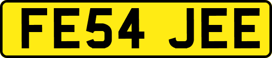 FE54JEE