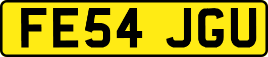 FE54JGU