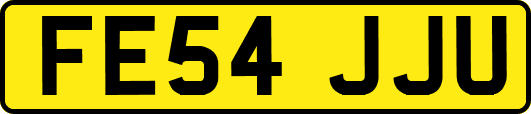 FE54JJU
