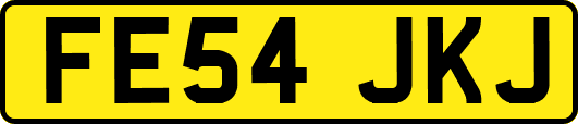FE54JKJ