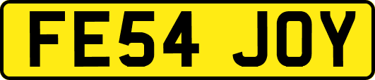 FE54JOY