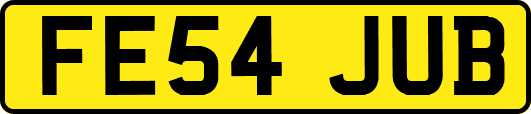 FE54JUB