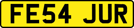 FE54JUR