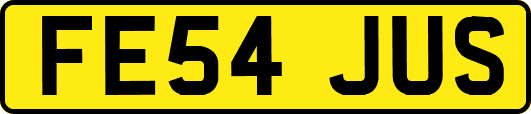 FE54JUS