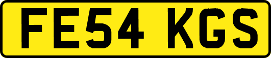 FE54KGS