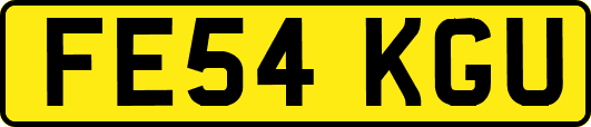 FE54KGU