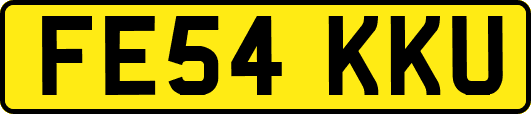 FE54KKU