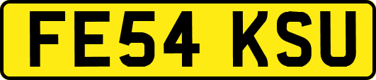 FE54KSU