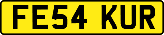 FE54KUR