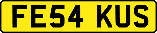 FE54KUS