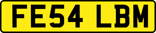 FE54LBM