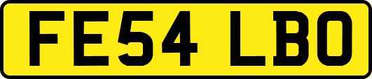 FE54LBO
